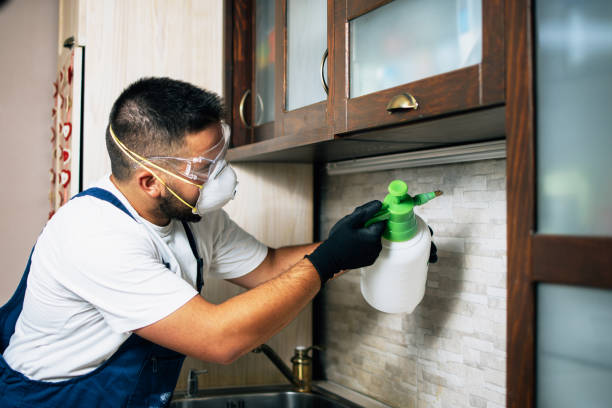 Best Commercial Pest Control Services  in Grosse Pointe, MI