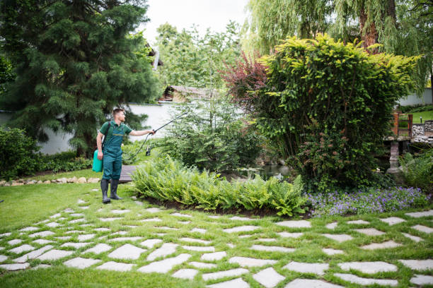 Best Affordable Pest Control Services  in Grosse Pointe, MI
