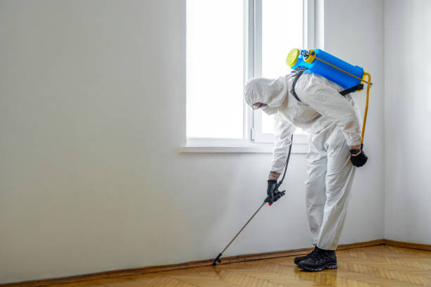 Best Pest Inspection Near Me  in Grosse Pointe, MI