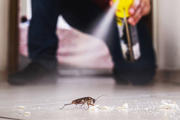 Best Wasp Removal Services  in Grosse Pointe, MI